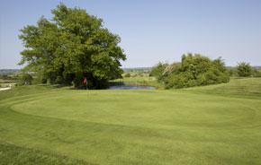 Top Meadow Golf Course